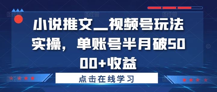 小说推文—视频号玩法实操，单账号半月破5000+收益-创客联盟资源网-本站致力于分享优质实用的互联网资源,创业项目,软件工具