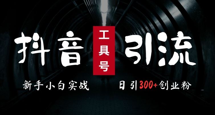 2024最新抖音工具号引流玩法，高效日引300+创业粉，当天变现5k，小白也可成为实战高手-创客联盟资源网-本站致力于分享优质实用的互联网资源,创业项目,软件工具