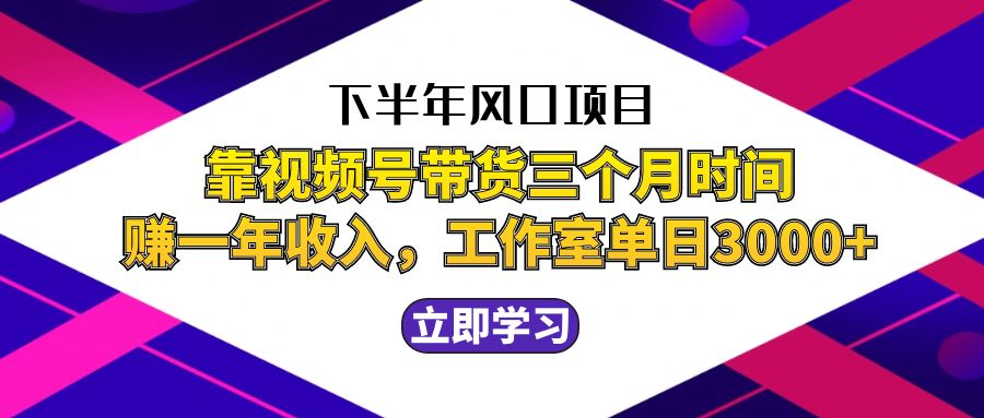 （12849期）下半年风口项目，靠视频号带货三个月时间赚一年收入，工作室实测单日3…-创客联盟资源网-本站致力于分享优质实用的互联网资源,创业项目,软件工具
