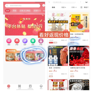 图片[15]-0元购教程来啦，一台手机日入500+，小白宝妈都可操作，多号矩阵收益无上限2.0-创客联盟资源网-本站致力于分享优质实用的互联网资源,创业项目,软件工具