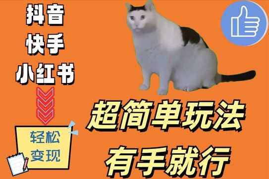 超简单玩法，有手就行，靠猫咪视频日入500+【揭秘】-创客联盟资源网-本站致力于分享优质实用的互联网资源,创业项目,软件工具
