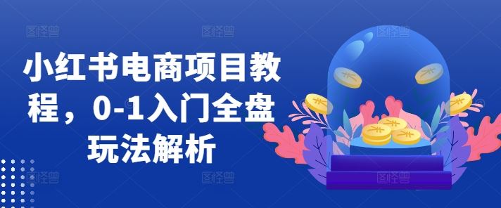 小红书电商项目教程，0-1入门全盘玩法解析-创客联盟资源网-本站致力于分享优质实用的互联网资源,创业项目,软件工具