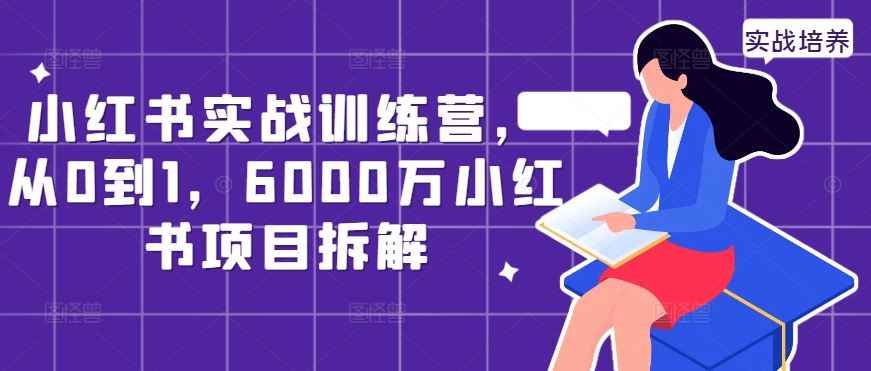 小红书实战训练营，从0到1，6000万小红书项目拆解-创客联盟资源网-本站致力于分享优质实用的互联网资源,创业项目,软件工具