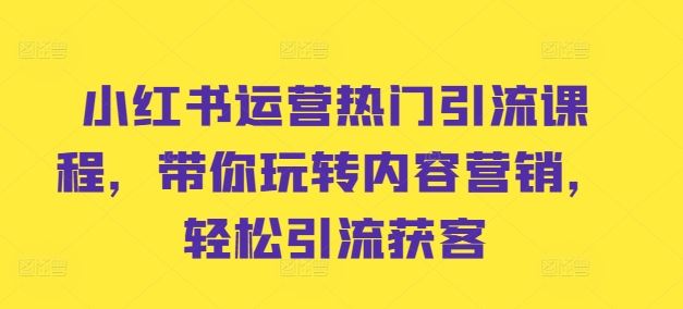 小红书运营热门引流课程，带你玩转内容营销，轻松引流获客-创客联盟资源网-本站致力于分享优质实用的互联网资源,创业项目,软件工具