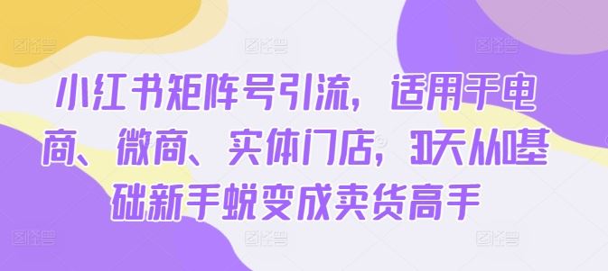 小红书矩阵号引流，适用于电商、微商、实体门店，30天从0基础新手蜕变成卖货高手-创客联盟资源网-本站致力于分享优质实用的互联网资源,创业项目,软件工具