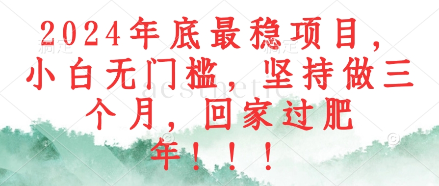 （12970期）2024年底最稳项目，小白无门槛，坚持做三个月，回家过肥年！！！-创客联盟资源网-本站致力于分享优质实用的互联网资源,创业项目,软件工具