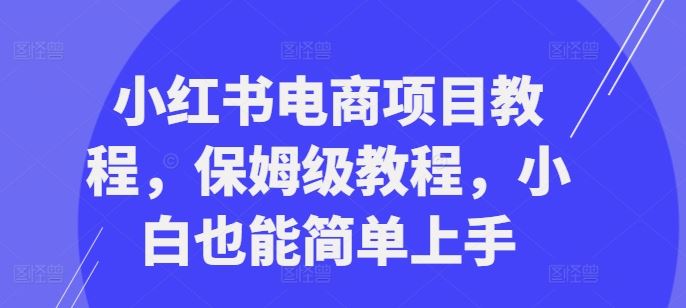 小红书电商项目教程，保姆级教程，小白也能简单上手-创客联盟资源网-本站致力于分享优质实用的互联网资源,创业项目,软件工具