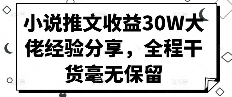 小说推文收益30W大佬经验分享，全程干货毫无保留-创客联盟资源网-本站致力于分享优质实用的互联网资源,创业项目,软件工具