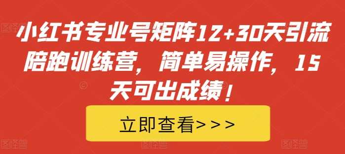 小红书专业号矩阵12+30天引流陪跑训练营，简单易操作，15天可出成绩!-创客联盟资源网-本站致力于分享优质实用的互联网资源,创业项目,软件工具