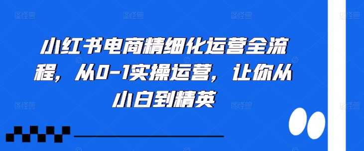 小红书电商精细化运营全流程，从0-1实操运营，让你从小白到精英-创客联盟资源网-本站致力于分享优质实用的互联网资源,创业项目,软件工具