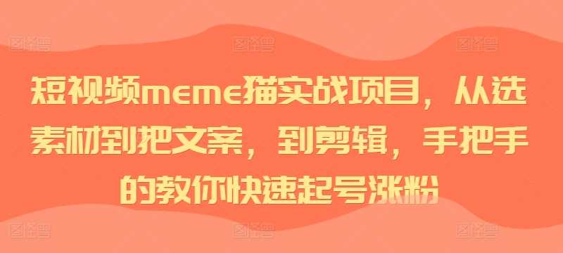 短视频meme猫实战项目，从选素材到把文案，到剪辑，手把手的教你快速起号涨粉-创客联盟资源网-本站致力于分享优质实用的互联网资源,创业项目,软件工具