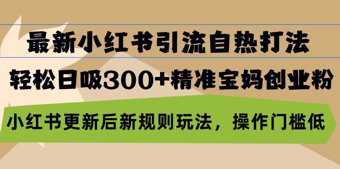 （13145期）最新小红书引流自热打法，轻松日吸300+精准宝妈创业粉，小红书更新后新…-创客联盟资源网-本站致力于分享优质实用的互联网资源,创业项目,软件工具