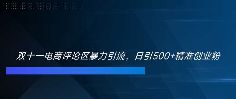 双十一电商评论区暴力引流，日引500+精准创业粉【揭秘】-创客联盟资源网-本站致力于分享优质实用的互联网资源,创业项目,软件工具