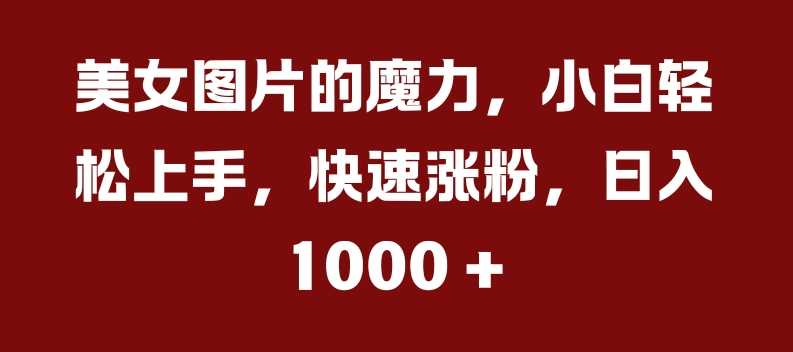 美女图片的魔力，小白轻松上手，快速涨粉，日入几张【揭秘】-创客联盟资源网-本站致力于分享优质实用的互联网资源,创业项目,软件工具