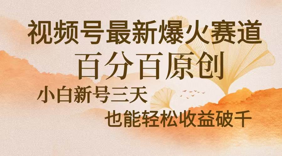 （13225期）视频号最新爆火赛道，中老年粉深信不疑，百分百原创，新号三天收益轻松…-创客联盟资源网-本站致力于分享优质实用的互联网资源,创业项目,软件工具