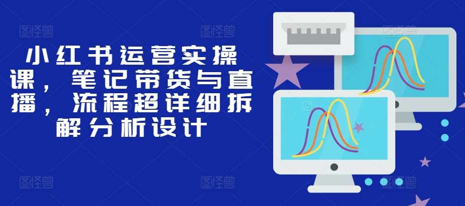 小红书运营实操课，笔记带货与直播，流程超详细拆解分析设计-创客联盟资源网-本站致力于分享优质实用的互联网资源,创业项目,软件工具