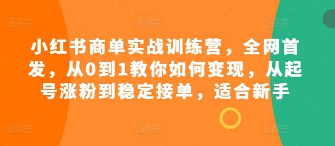 小红书商单实战训练营，全网首发，从0到1教你如何变现，从起号涨粉到稳定接单，适合新手-创客联盟资源网-本站致力于分享优质实用的互联网资源,创业项目,软件工具