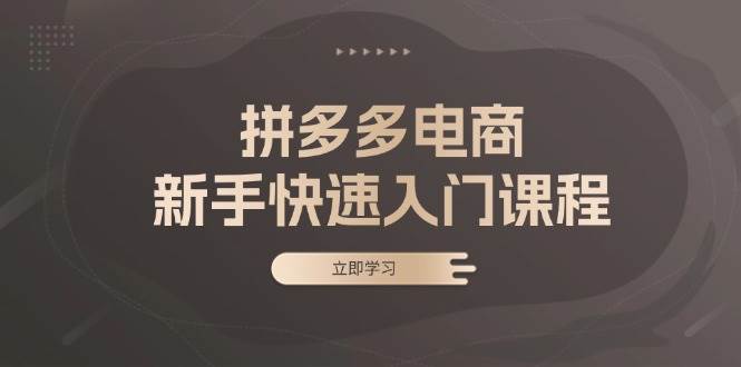 （13289期）拼多多电商新手快速入门课程：涵盖基础、实战与选款，助力小白轻松上手-创客联盟资源网-本站致力于分享优质实用的互联网资源,创业项目,软件工具