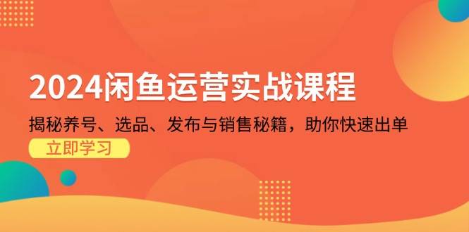 （13290期）2024闲鱼运营实战课程：揭秘养号、选品、发布与销售秘籍，助你快速出单-创客联盟资源网-本站致力于分享优质实用的互联网资源,创业项目,软件工具
