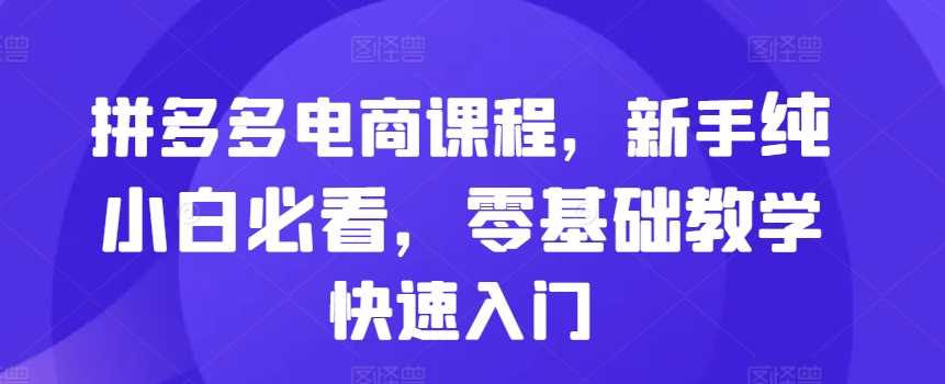 拼多多电商课程，新手纯小白必看，零基础教学快速入门-创客联盟资源网-本站致力于分享优质实用的互联网资源,创业项目,软件工具