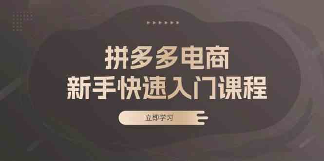 拼多多电商新手快速入门课程：涵盖基础、实战与选款，助力小白轻松上手-创客联盟资源网-本站致力于分享优质实用的互联网资源,创业项目,软件工具
