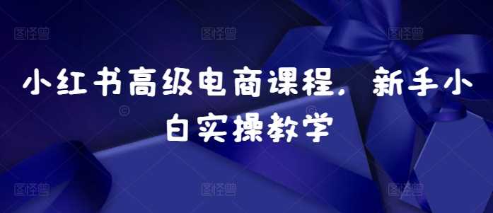 小红书高级电商课程，新手小白实操教学-创客联盟资源网-本站致力于分享优质实用的互联网资源,创业项目,软件工具