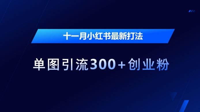 十一月小红书最新打法，单图引流300+创业粉【揭秘】-创客联盟资源网-本站致力于分享优质实用的互联网资源,创业项目,软件工具