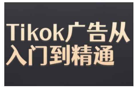 Tiktok Ads实操教程，Tiktok广告从入门到精通-创客联盟资源网-本站致力于分享优质实用的互联网资源,创业项目,软件工具