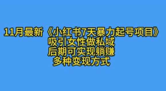 K总部落11月最新小红书7天暴力起号项目，吸引女性做私域【揭秘】-创客联盟资源网-本站致力于分享优质实用的互联网资源,创业项目,软件工具