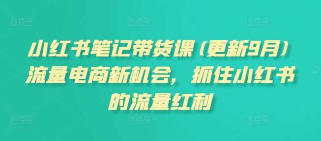 小红书笔记带货课(更新11月)流量电商新机会，抓住小红书的流量红利-创客联盟资源网-本站致力于分享优质实用的互联网资源,创业项目,软件工具