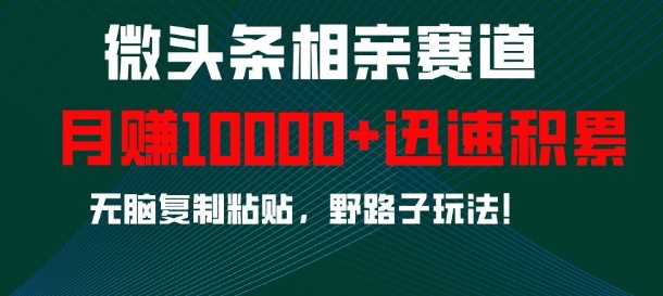 微头条相亲赛道，迅速积累，无脑复制粘贴，野路子玩法，月入1w-创客联盟资源网-本站致力于分享优质实用的互联网资源,创业项目,软件工具