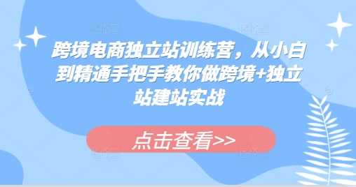 跨境电商独立站训练营，从小白到精通手把手教你做跨境+独立站建站实战-创客联盟资源网-本站致力于分享优质实用的互联网资源,创业项目,软件工具