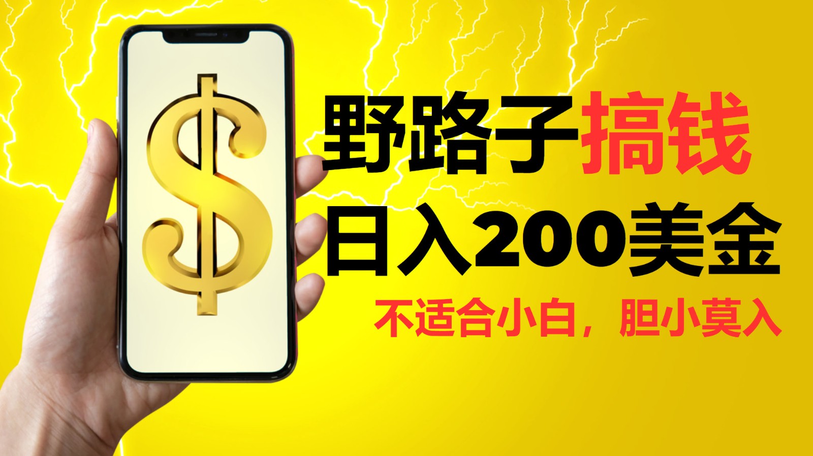 挂机野路子搞钱，日入200美金，路子很野，小白莫入-创客联盟资源网-本站致力于分享优质实用的互联网资源,创业项目,软件工具