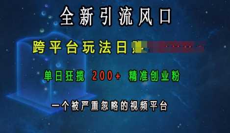 全新引流风口，跨平台玩法日入上k，单日狂揽200+精准创业粉，一个被严重忽略的视频平台-创客联盟资源网-本站致力于分享优质实用的互联网资源,创业项目,软件工具