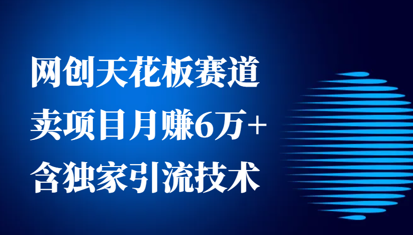 网创天花板赛道，卖项目月赚6万+，含独家引流技术（共26节课）-创客联盟资源网-本站致力于分享优质实用的互联网资源,创业项目,软件工具