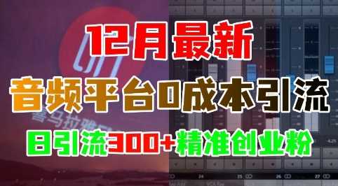12月最新：音频平台0成本引流，日引流300+精准创业粉-创客联盟资源网-本站致力于分享优质实用的互联网资源,创业项目,软件工具