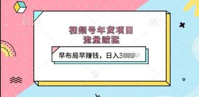 视频号年货项目，流量贼猛，早布局早挣钱，日入上k【揭秘】-创客联盟资源网-本站致力于分享优质实用的互联网资源,创业项目,软件工具