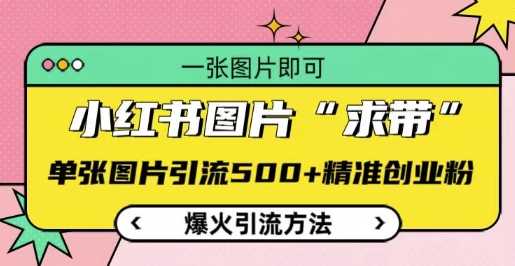 小红书图片‘求带’爆火引流法，单张图片引流500+精准创业粉【揭秘】-创客联盟资源网-本站致力于分享优质实用的互联网资源,创业项目,软件工具