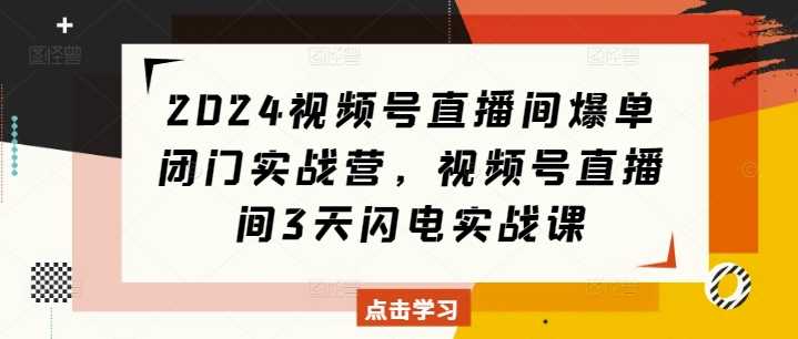 2024视频号直播间爆单闭门实战营，视频号直播间3天闪电实战课-创客联盟资源网-本站致力于分享优质实用的互联网资源,创业项目,软件工具