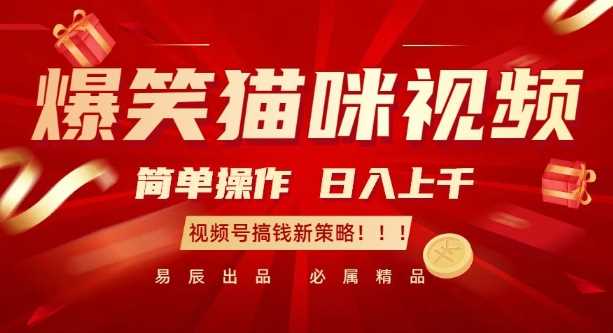 爆笑猫咪视频：简单操作，日入过K，视频号搞钱新策略【揭秘】-创客联盟资源网-本站致力于分享优质实用的互联网资源,创业项目,软件工具