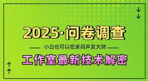 2025问卷调查最新工作室技术解密：一个人在家也可以闷声发大财，小白一天2张，可矩阵放大【揭秘】-创客联盟资源网-本站致力于分享优质实用的互联网资源,创业项目,软件工具