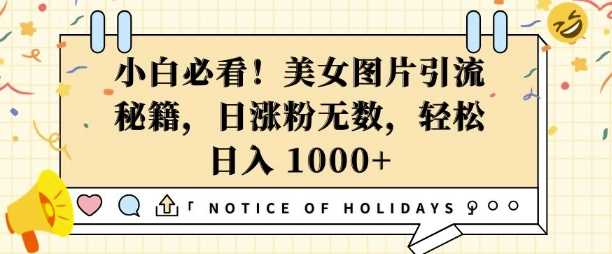 小白必看，美女图片引流秘籍，日涨粉无数，轻松日入几张【揭秘】-创客联盟资源网-本站致力于分享优质实用的互联网资源,创业项目,软件工具