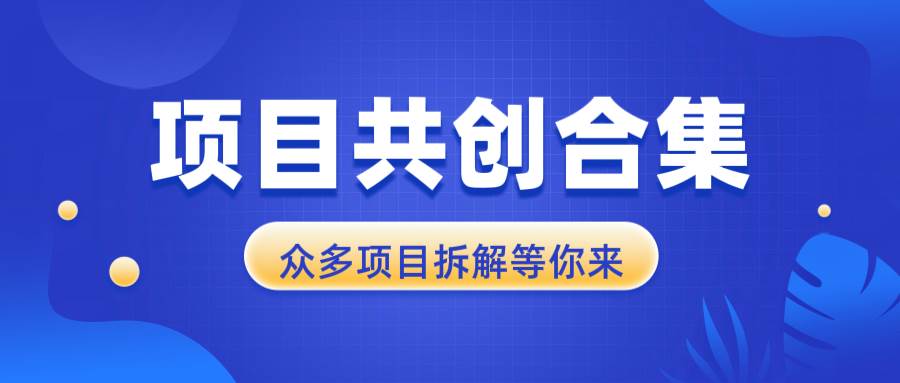 （13778期）项目共创合集，从0-1全过程拆解，让你迅速找到适合自已的项目-创客联盟资源网-本站致力于分享优质实用的互联网资源,创业项目,软件工具