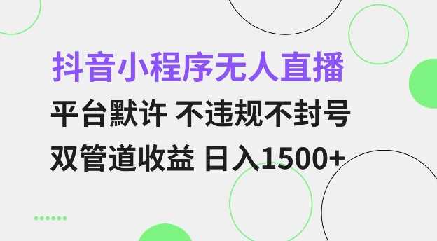 抖音小程序无人直播 平台默许 不违规不封号 双管道收益 日入多张 小白也能轻松操作【仅揭秘】-创客联盟资源网-本站致力于分享优质实用的互联网资源,创业项目,软件工具
