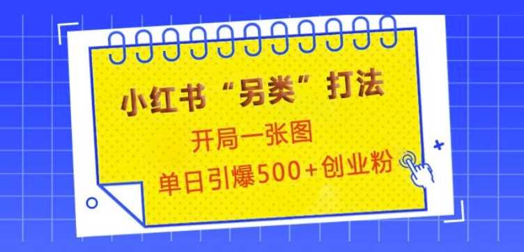 小红书“另类”打法，开局一张图，单日引爆500+精准创业粉【揭秘】-创客联盟资源网-本站致力于分享优质实用的互联网资源,创业项目,软件工具
