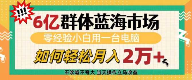 6亿群体蓝海市场，零经验小白用一台电脑，如何轻松月入过w【揭秘】-创客联盟资源网-本站致力于分享优质实用的互联网资源,创业项目,软件工具