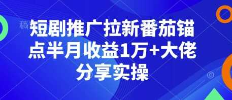 短剧推广拉新番茄锚点半月收益1万+大佬分享实操-创客联盟资源网-本站致力于分享优质实用的互联网资源,创业项目,软件工具