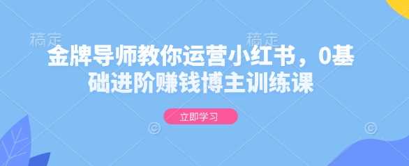 金牌导师教你运营小红书，0基础进阶赚钱博主训练课-创客联盟资源网-本站致力于分享优质实用的互联网资源,创业项目,软件工具